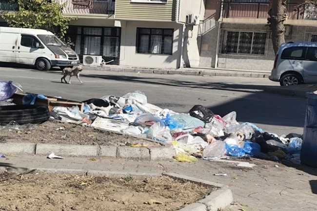 İzmir Buca'da çöp krizi! Mahalleler çöplüğe döndü, vatandaşlar isyanda