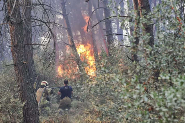 Bursa Büyükşehir'den Gündoğdu yangını seferberliği
