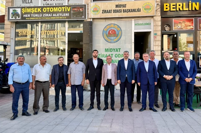 AK Parti Milletvekili Faruk Kılıç, Midyat'ta çalışmaları inceledi