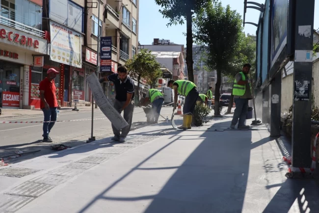 Ordu Büyükşehir'den Altınordu'ya estetik dokunuş