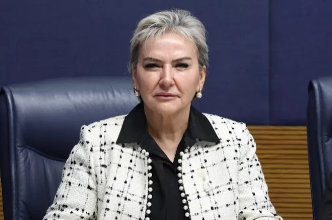 Milletvekili Özdemir 'kalıcı yaz saati'ni sordu