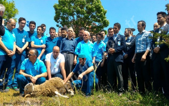 290 İŞÇİ KADROLU OLDU