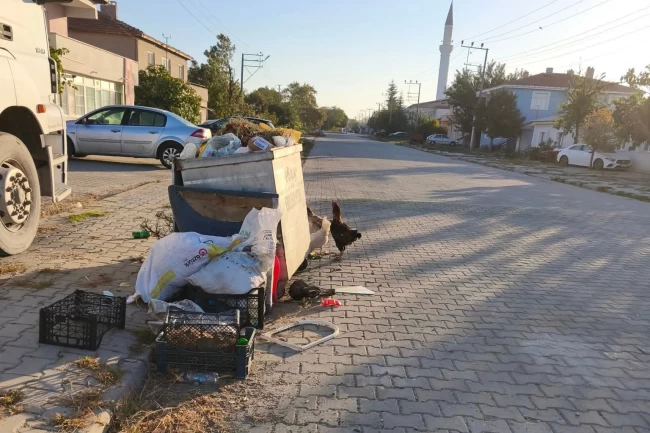 İpsala'da CHP'li Meclis Üyesi'nden Başkan Kerman'a bakımsızlık eleştirisi
