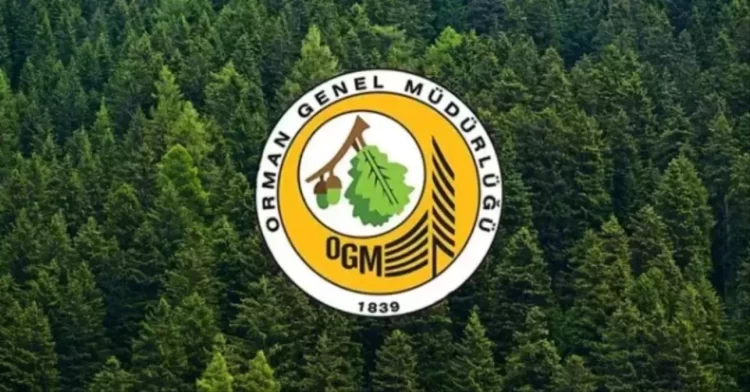 Başvurular başlıyor: Orman Genel Müdürlüğü 262 daimi işçi alacak