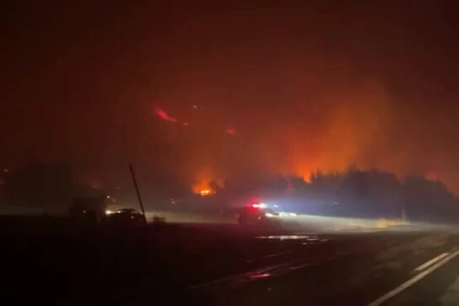 Bursa Karacabey'de orman yangını! Rüzgarın etkisiyle büyüyor