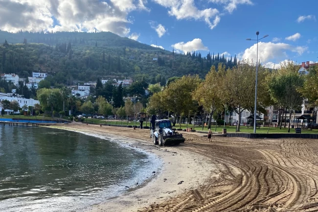 Kocaeli sahillerine Büyükşehir eliyle temiz sezon