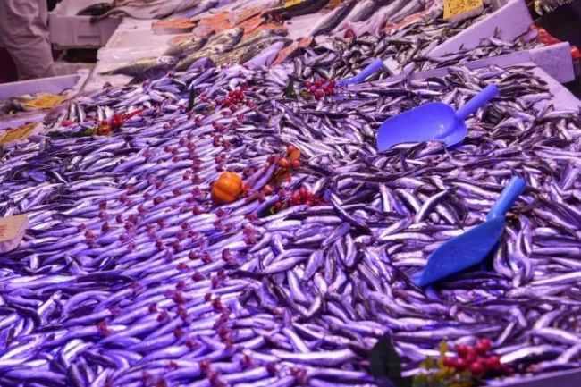 Eskişehir'de balık satış yerlerine ortak denetim