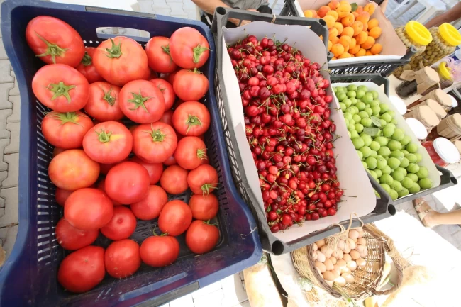Efes Tarlası Yaşam Köyü'nde Üretici Pazarı 19 Ekim'de kapılarını açıyor