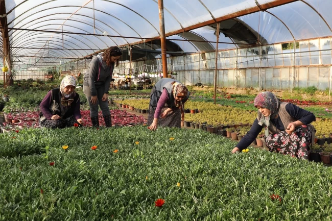 Muğla'da kadın emeğiyle gelecek inşa ediliyor