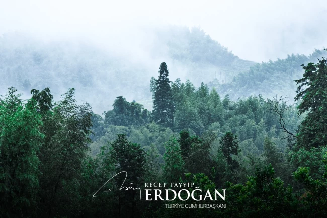 Cumhurbaşkanı Erdoğan'dan 'Yeşil Vatan Seferberliği' çağrısı