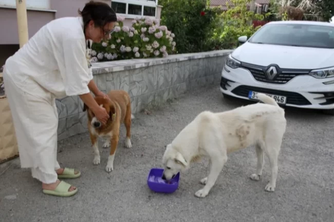 Edirne'de 200 bin TL borçla boğuşan KEHAY-KO'dan yardım çağrısı
