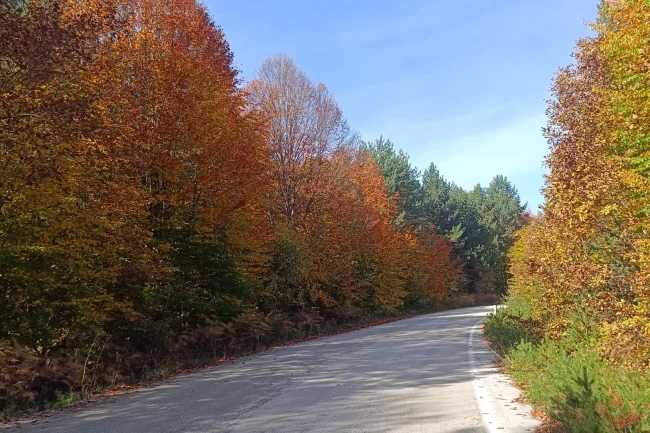 Bilecik Bozcaarmut'ta sonbahar büyüsü