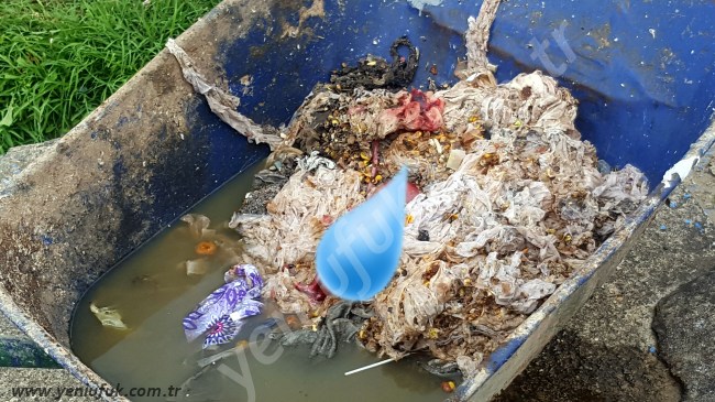 BİR BEBEK CESEDİ DAHA!..