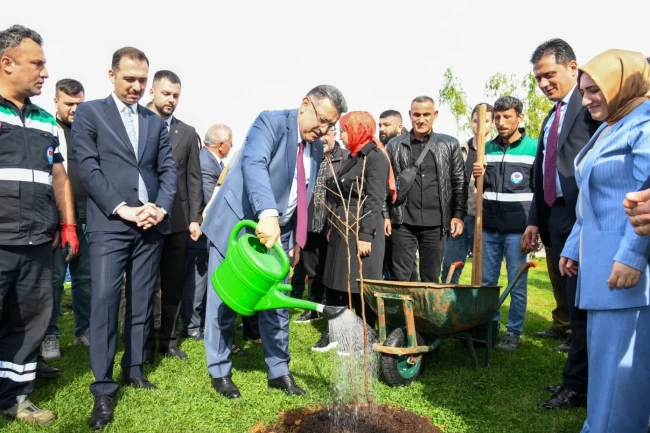 Trabzon'da 37 bin fidan toprakla buluştu