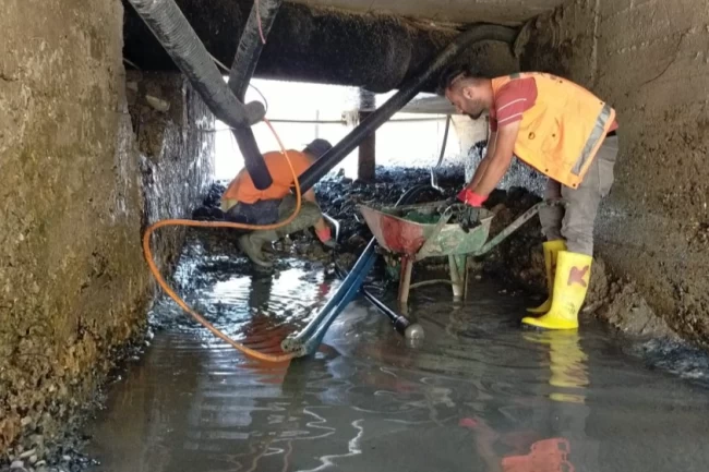 Ordu Fatsa'da tarihi temizlik seferberliği