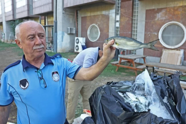 Antalya Büyükşehir zabıtasından otogarda usulsüz taşımacılığa operasyon