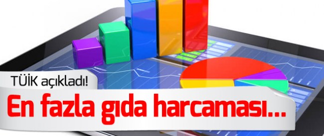 İŞTE TÜRKİYE'NİN GIDA HARCAMALARI İSTATİSTİĞİ