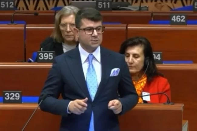 CHP'li Baran Güneş'ten Strazburg'da demokrasi vurgusu