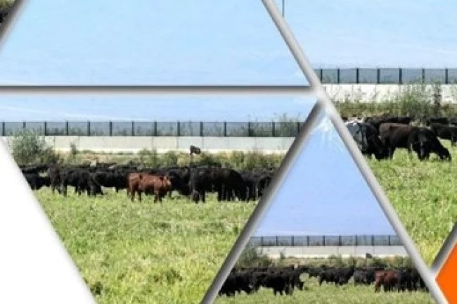 TİGEM'den 'Kırsalda Bereket Hayvancılığa Destek Projesi' için yeni duyuru