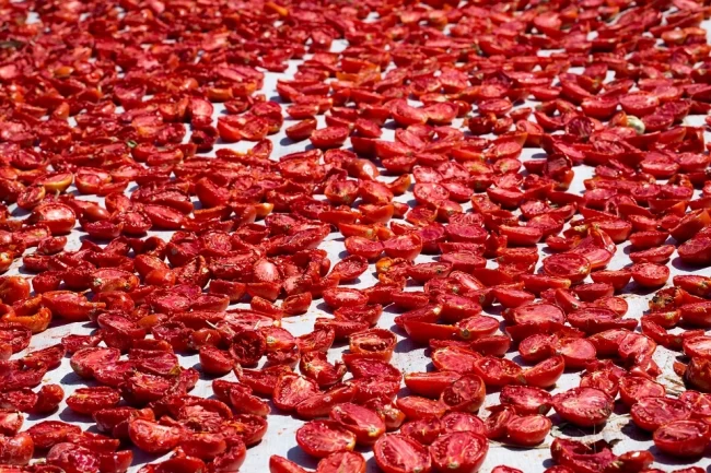 Şifa deposu kuru domates ihracatta dünya ikincisi