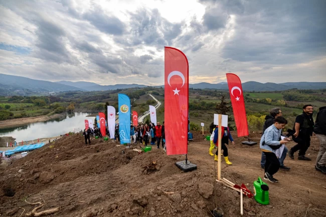 Karamürsel'de yanan bölge 3 bin fidanla yeşerecek