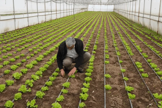 Balıkesir'de "Tarım Modeli" ile çiftçiye destek