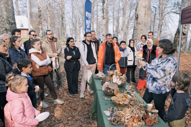 Kocaeli Kuzuyayla'da mantarların gizemli dünyası keşfedildi
