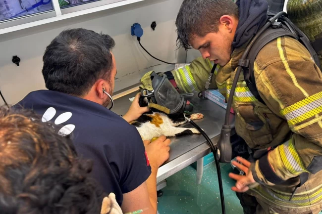 İzmir'de itfaiyeden can dostlara kahramanca müdahale