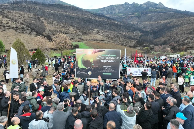 Bursa Gürsu'da yangın bölgesi yeniden hayat buluyor