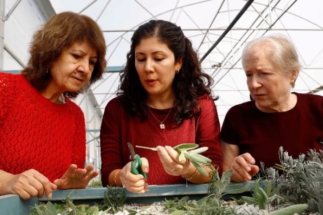 Antalya'da 'Tıbbi ve Aromatik Bitki Yetiştiriciliği' kursu ilgi görüyor