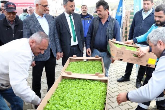 Kocaeli'de Gebzeli çiftçilere 500 bin fide dağıtıldı