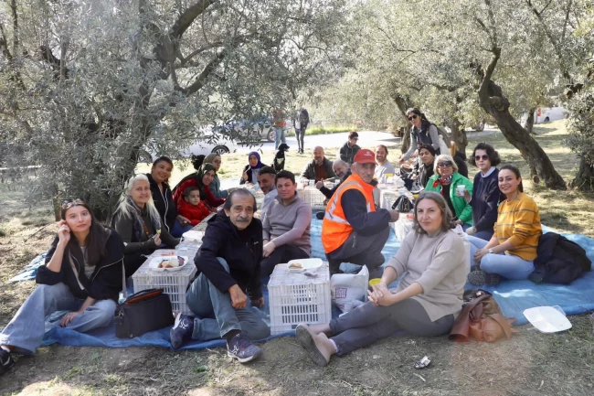 Mudanya'da birlikte zeytin topladılar