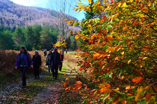 Sakarya'da doğa yürüyüşlerinde sonbahar coşkusu