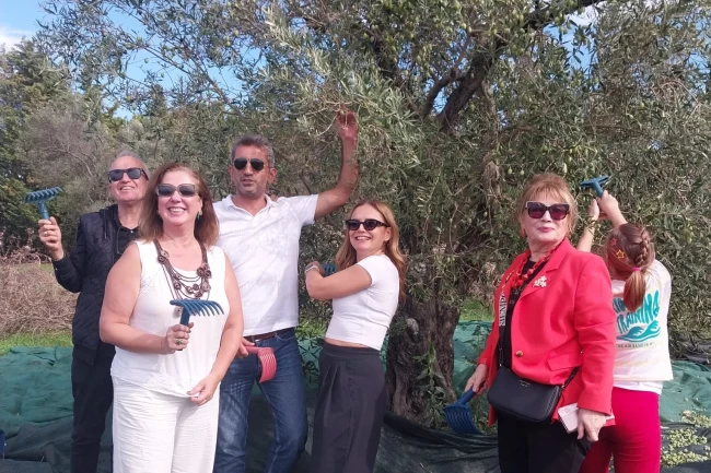 Urla'da zeytin hasadı etkinliği