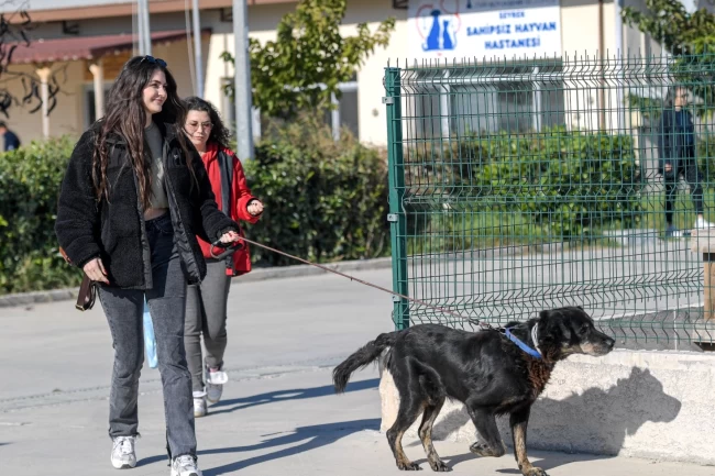 İzmir Menemen'deki yangından kurtarılan 17 hayvana Büyükşehir sahip çıktı