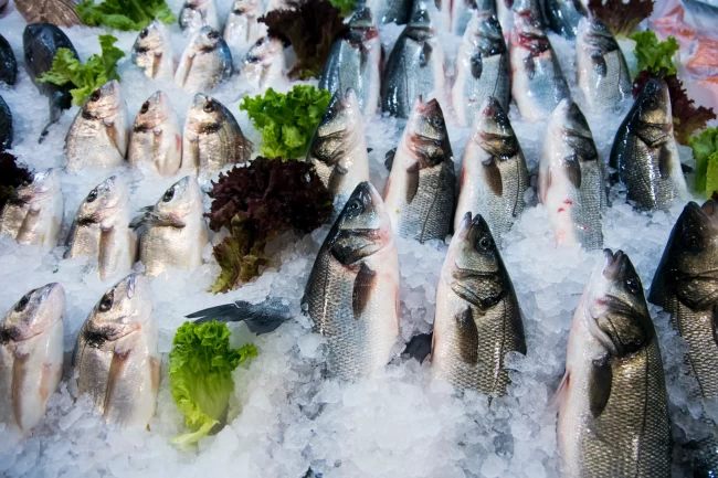 Su ürünleri ihracatının yüzde 47'si Ege'den yapıldı