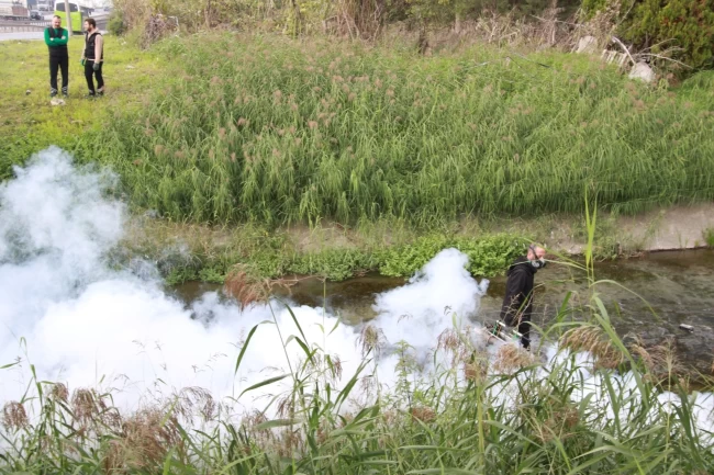 Kocaeli'de sinekle mücadele dört mevsim hız kesmiyor