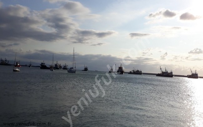 Liman doldu taştı!