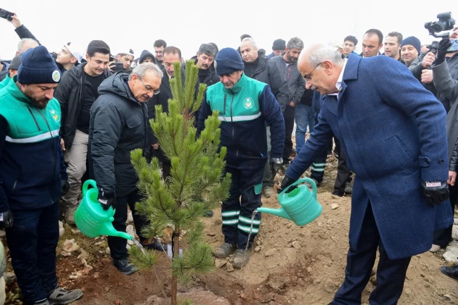 Malatya Beydağı'nda 10 bin 444 fidan toprakla buluştu