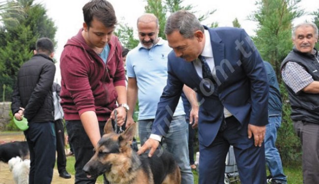 Uysal:”Sokak hayvanları korumamız altında…”