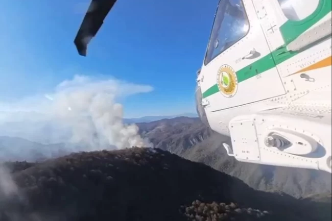 İran'daki orman yangınlarına Türkiye'den destek