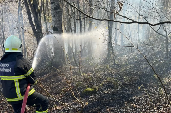 Ordu'da bir haftada 40 yangın alarmı