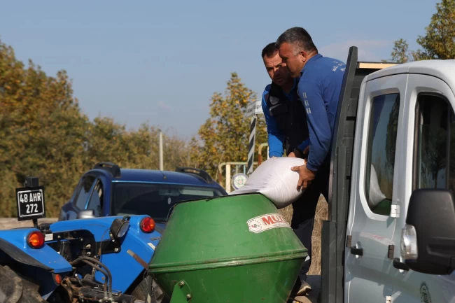 Muğla Büyükşehir'den kaba yem üretimi