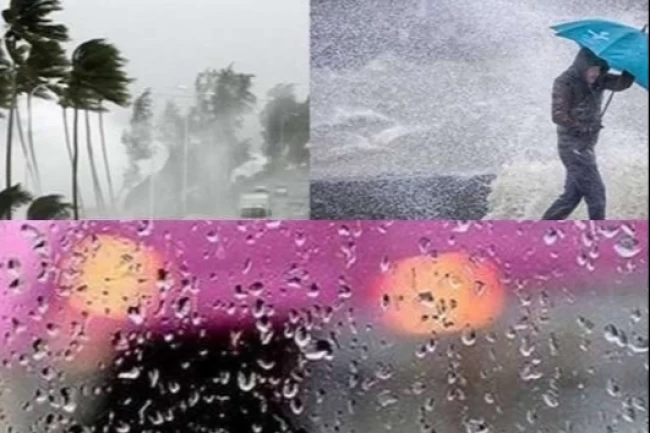 Trabzon, Rize ve Artvin'de kuvvetli yağış bekleniyor