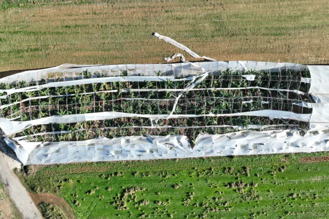 Antalya Büyükşehir'den hortum felaketinde çiftçiye destek