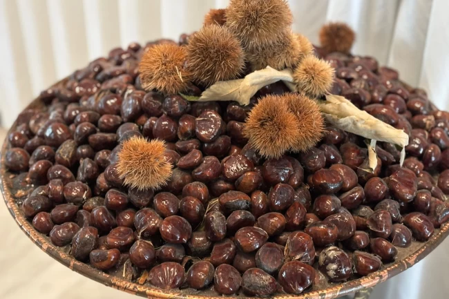 'Bursa Kestanesi'nin geleceği masaya yatırıldı