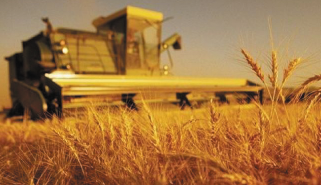 Tarım- ÜFE Ekim ayında %0,88 arttı