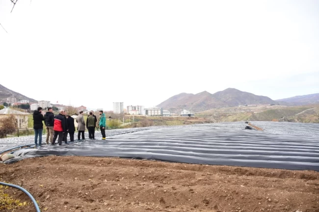 Batman Sason'da çilek üreticilerine ziyaret