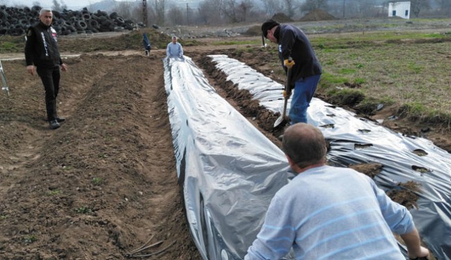 Osmanlı Çileği Tescillendi!..