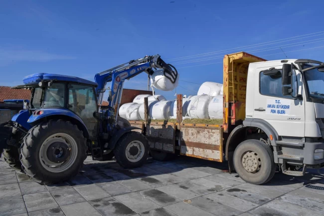 Ankara'da hayvan yetiştiricilerine silaj desteği